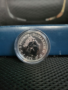 1 oz hõbemünt (erinevad) (8 foto / 10)