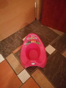 Potid ja WC-istmed lastele (9 foto / 9)