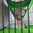 Müüa rottidele võrkkiike. erineva kuju ja värviga. (foto #1)