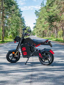 2021 EXO NEUTRINO 6.8kW (1 foto / 10)