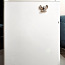 Холодильник в рабочем состоянии (фото #3)