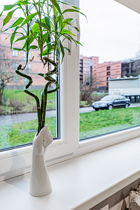 Sõle tn 58, Põhja-Tallinn, Tallinn, Harjumaa (5 фото из 15)