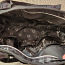 Emmaljunga kott (foto #2)
