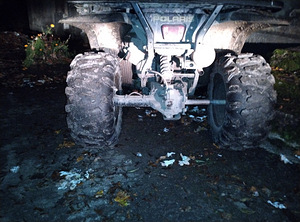 Polaris magnum sportsmen 330 4x4 ,2005 (2 foto / 3)