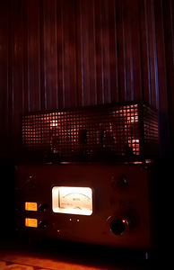 Line Magnetic LM-219IA (8 foto / 8)