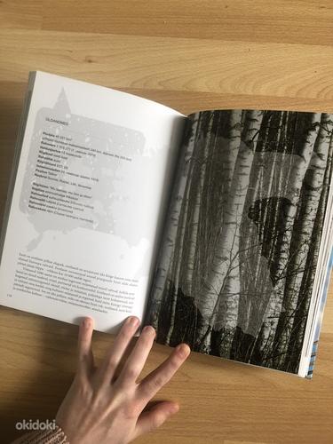 Книга «Эстония: земля и другое (люди, земля, страна, язык)» (фото #3)