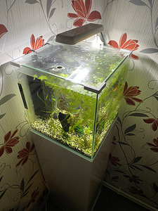 Akvaarium