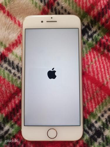 Apple iPhone 8, 64ГБ (фото #2)