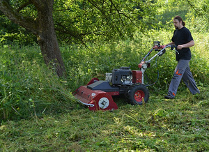 MC70 haamrimultser (3 foto / 10)