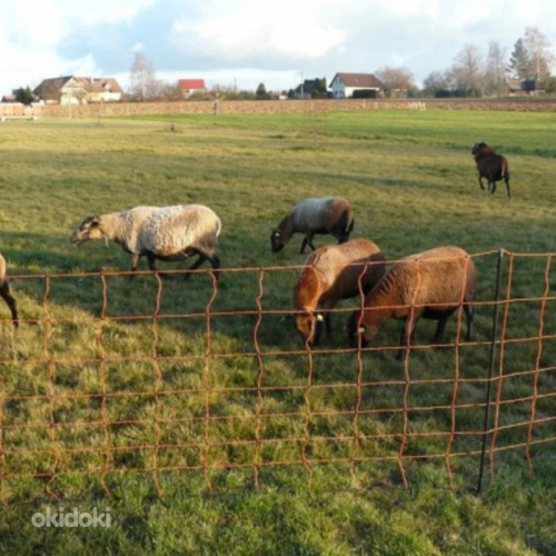 Электрическая пастушья сеть для овец, 90см/50м (фото #3)