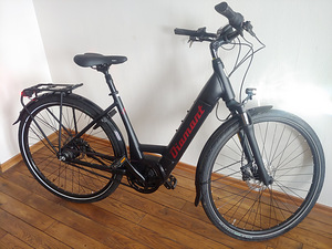 Elektrijalgratas DIAMONT BERYLL ESPRIT+ (1 foto / 8)