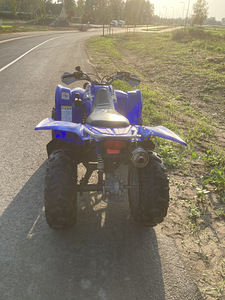 2006 ATV Yamaha YFM450 WOLVERINE 4x4 (3 foto / 7)