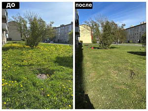 Muru niitmine ja krundi hooldus (2 foto / 2)