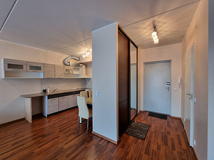 Liikuri tn 8a, Lasnamäe, Tallinn, Harjumaa (10 foto / 11)