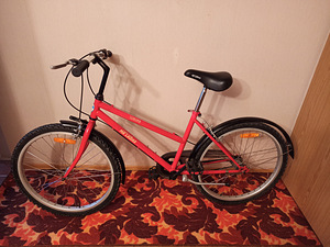 Jalgratas Ma labike (5 foto / 5)
