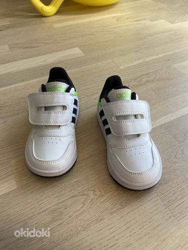 Новые кроссовки adidas 24 s. (фото #1)