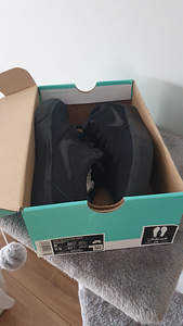 NIKE SB CHARGE (5 foto / 6)