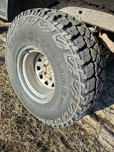TOYOTA 4RUNNER/HILUX SURF (7 foto / 7)