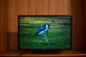 Dell UltraSharp U2412M (2 foto / 9)
