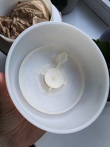 Doterra Petal difuuser (2 foto / 4)