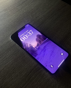 iPhone X
