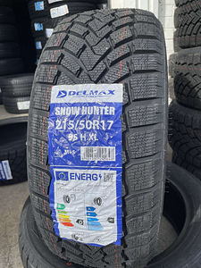 215/50/17 Delmax Snowhunter 95h xl lamellrehvid (1 foto / 1)