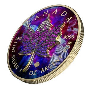 Hõbe Münt Canada Maple Leaf Seasons June 1 Oz Silver 2022 (2 foto / 6)