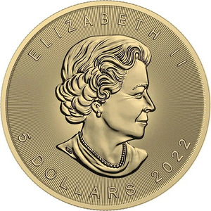 Hõbe Münt Canada Maple Leaf Seasons June 1 Oz Silver 2022 (4 foto / 6)