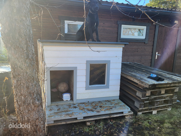 Утепленный домик для собаки 155x113x131см (фото #2)
