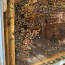Стеклянные улья с пчёлами для дома. (фото #4)