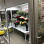 Холодильник для цветов (фото #1)