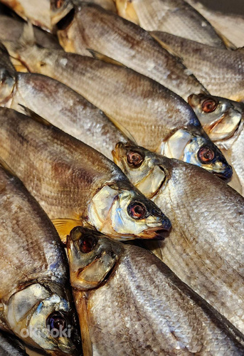 Kuivatatud kala Vimba, Roach, Bychek. (foto #1)