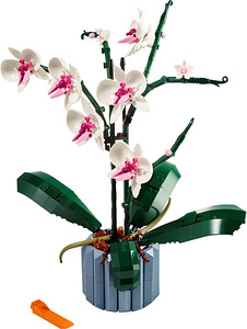 Lego Botanical 10311 Orhidee lill Lego Orhidee lilled (5 foto / 10)