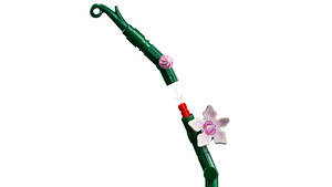 Lego Botanical 10311 Orhidee lill Lego Orhidee lilled (7 foto / 10)