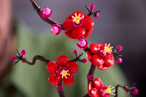 Uus Lego Botanicals 10369 Plum Blossom Lego (5 foto / 9)