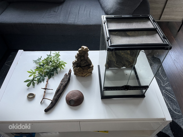 Terrarium kit