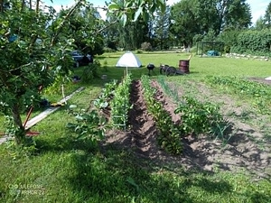 Koeravere tee 5, Viru-Jaagupi, Vinni vald, Lääne-Virumaa (2 фото из 10)