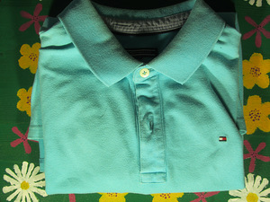 Poiste särgid, polo/t-särgid 9-14 a Lacoste, Gant, Hilfiger (6 foto / 8)