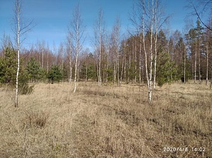 Kraavikalda, Haaslava, Kastre vald, Tartumaa (2 foto / 6)