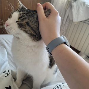 Väga südamlik kass ootab uusi omanikke (1 foto / 5)