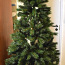 Kokkupandav Jõulupuu (foto #1)
