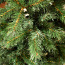 Kokkupandav Jõulupuu (foto #5)