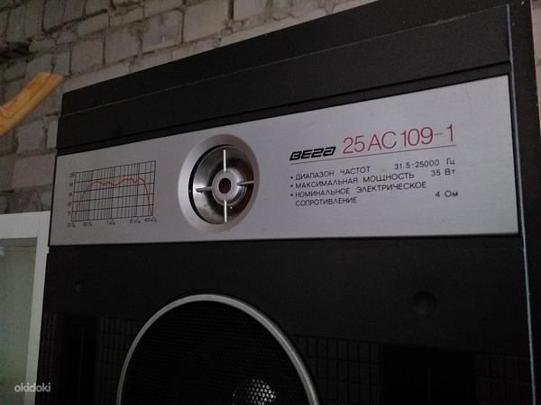 Vega 25AC109-1 kõlarid (Vega 25AC109-1) (foto #3)