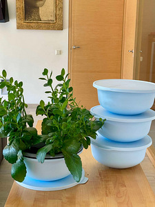 Toidukarbid Tupperware, kohe olemas! (4 foto / 10)