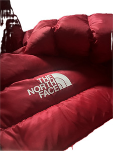 The north face куртка (3 фото из 8)