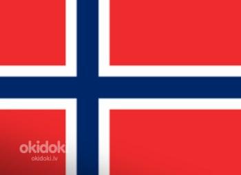 Norwegian language (tutoring) (foto #1)