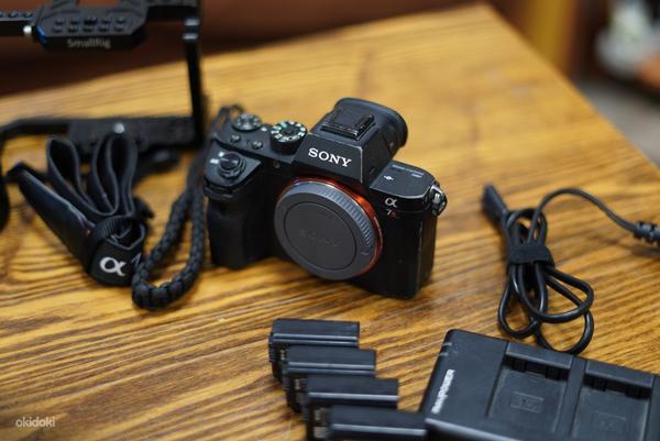 Sony a7R II, FE 90mm F2.8 Macro G OSS, дополнительные (фото #2)