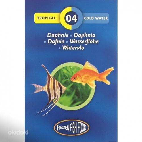 Külmutatud kalatoit Daphnie ja Artemia (foto #1)