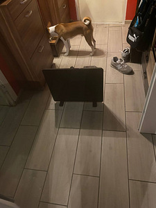 Elektriradiaator ja puhur 4 kW (2 foto / 3)