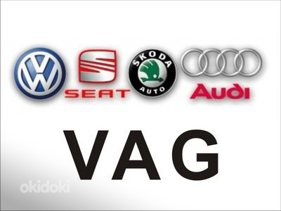 Mootori ja DSG püsivara värskendus Audi VW Skoda SeatPorsche (foto #2)